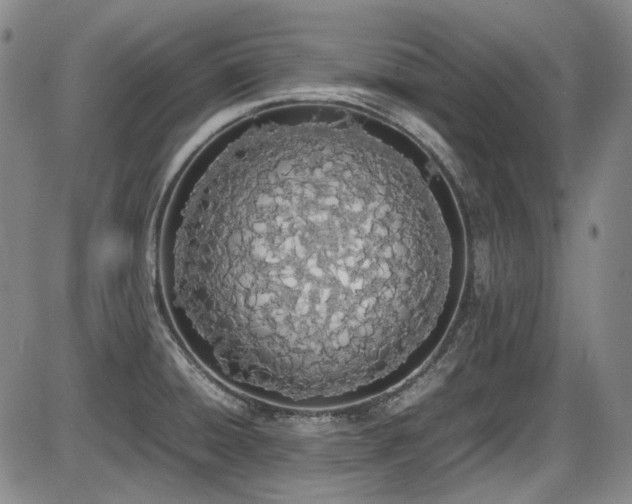 X0000086341428200703301244