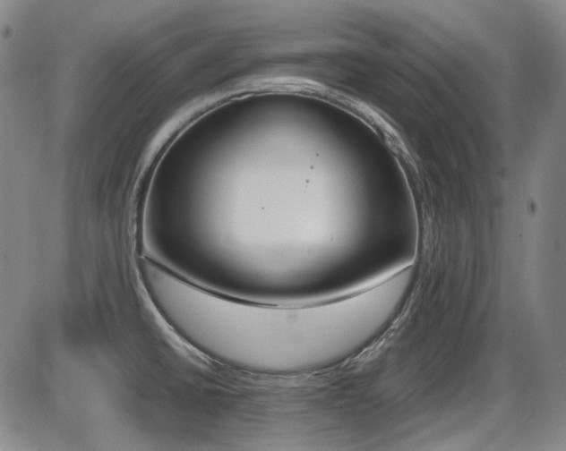 X0000086341430200703301244