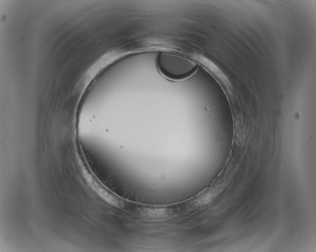 X0000086341431200703301244