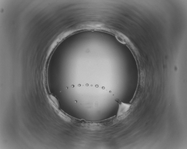 X0000086341432200703301244