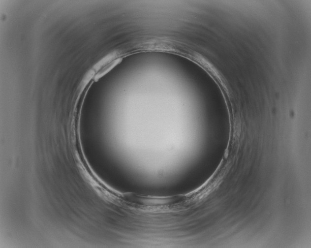 X0000086341434200703301244