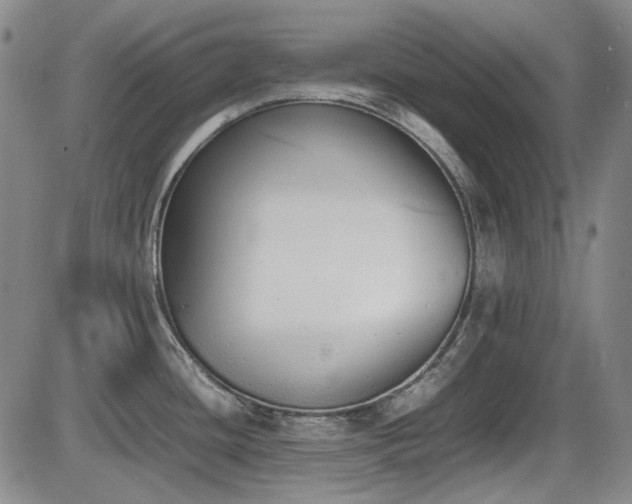 X0000086341436200703301244