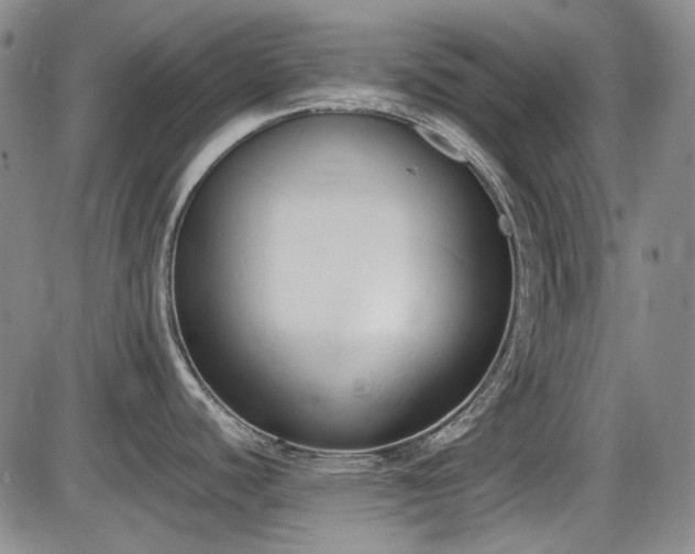X0000086341440200703301244