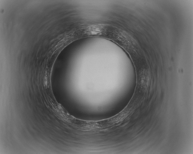 X0000086341442200703301243