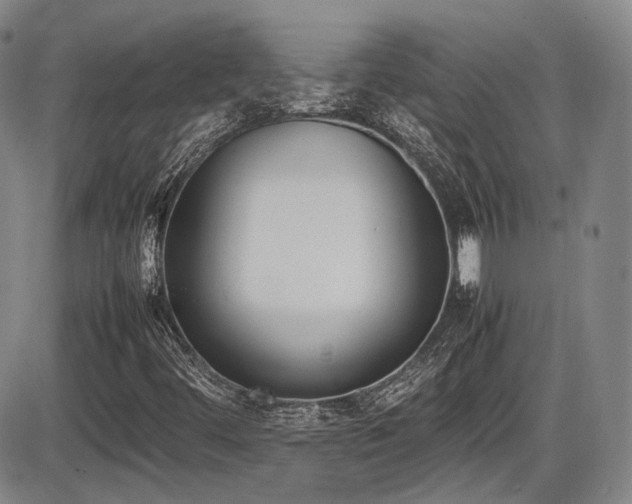 X0000086341444200703301243