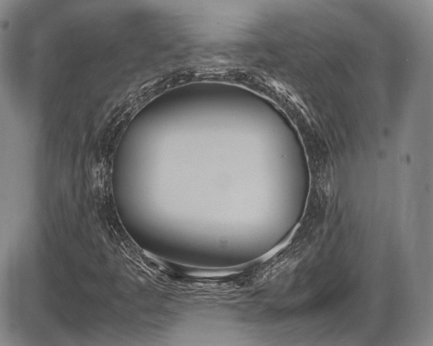 X0000086341445200703301243