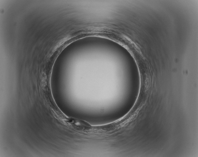 X0000086341449200703301243