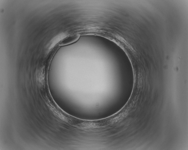 X0000086341450200703301243