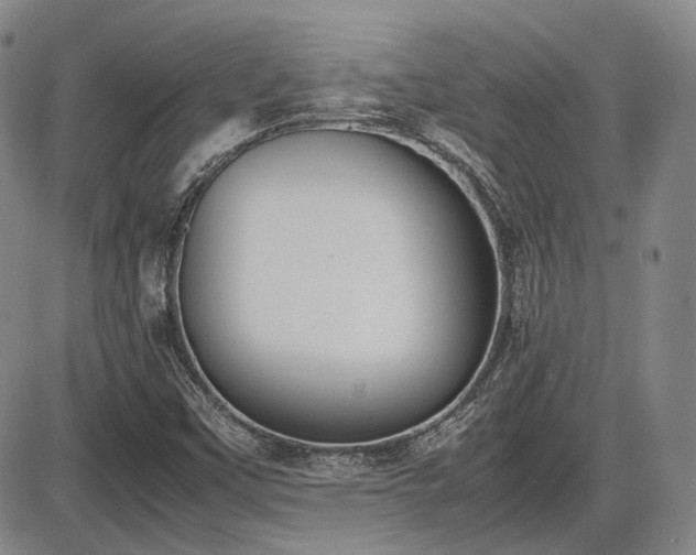 X0000086341451200703301243
