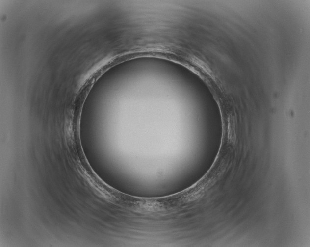 X0000086341452200703301243