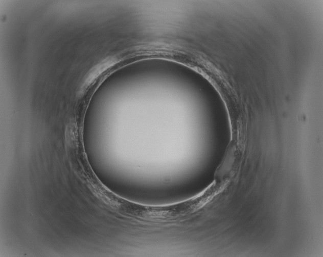 X0000086341453200703301243