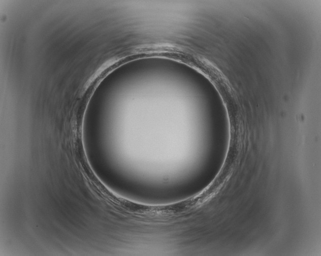 X0000086341457200703301243
