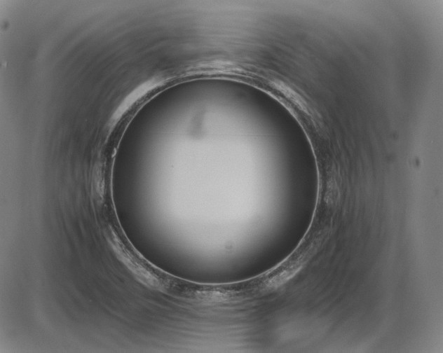 X0000086341458200703301243