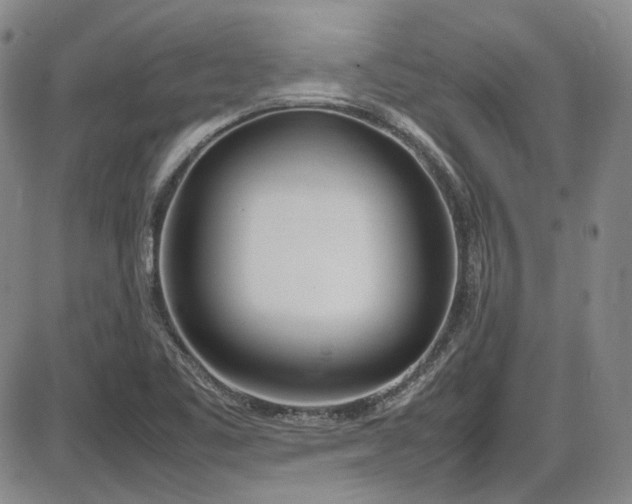 X0000086341461200703301243