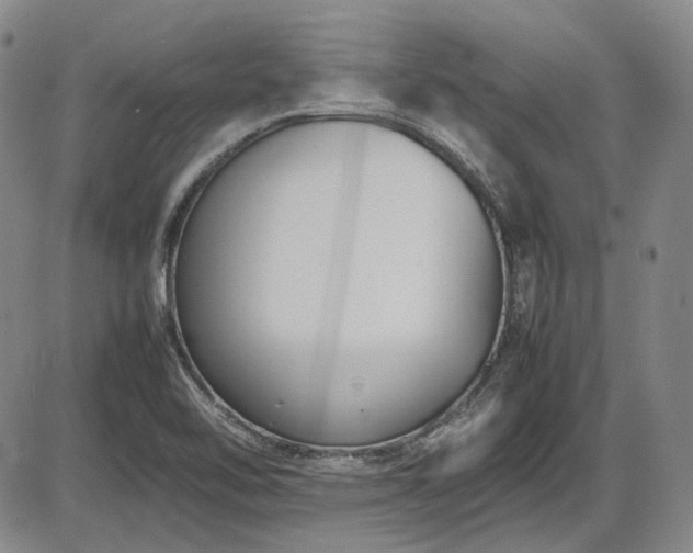 X0000086341462200703301243