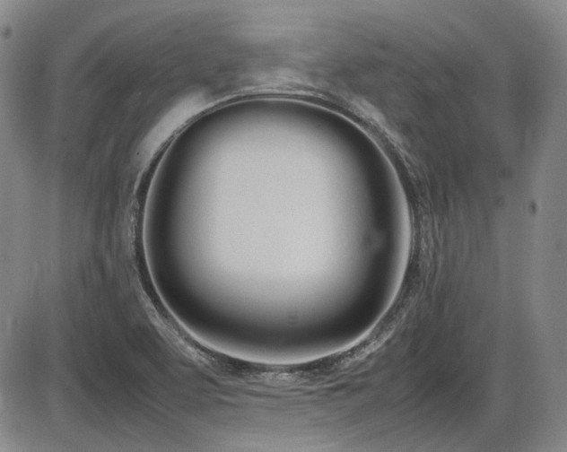 X0000086341463200703301243