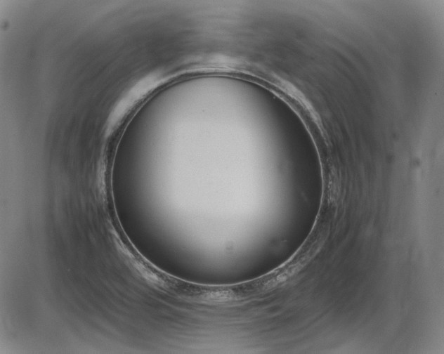 X0000086341464200703301243