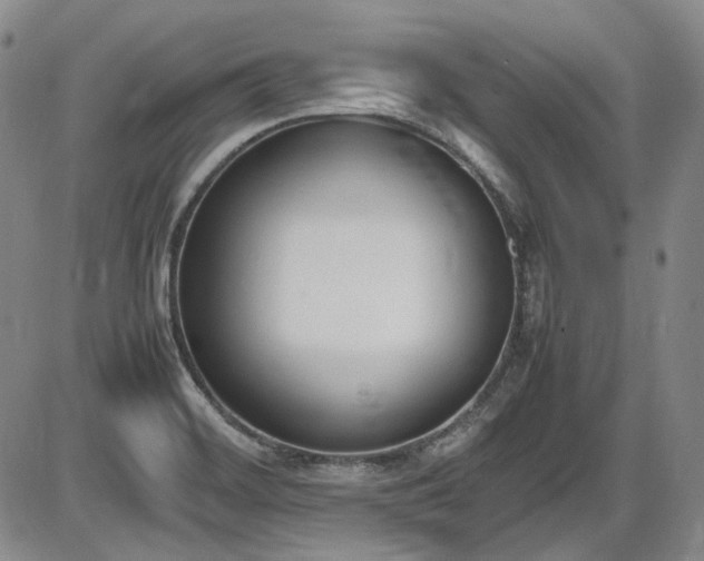 X0000086341468200703301243