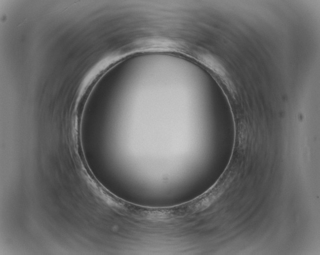 X0000086341472200703301243