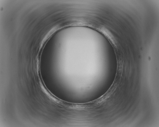 X0000086341476200703301243