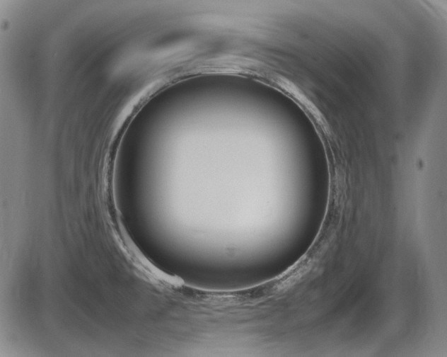 X0000086341477200703301243