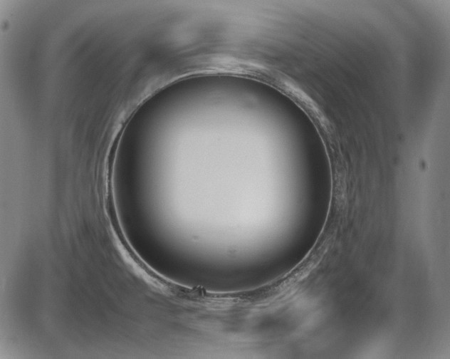 X0000086341479200703301243