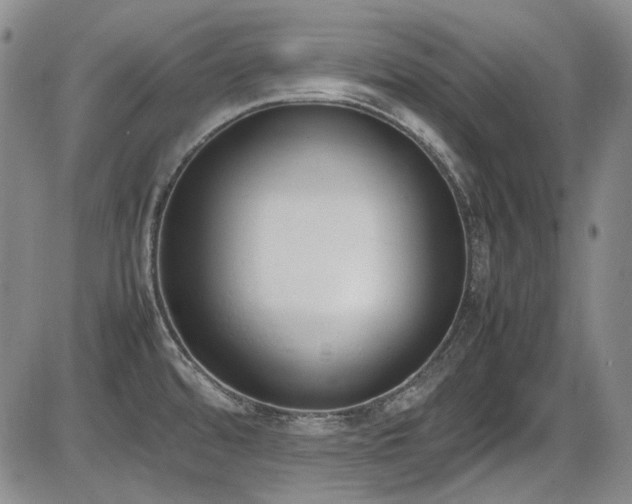 X0000086341480200703301243