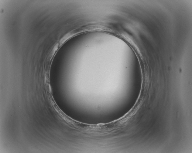 X0000086341481200703301243