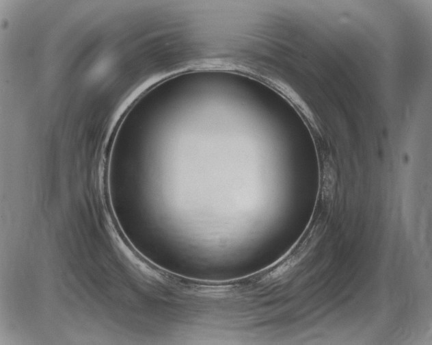 X0000086341484200703301243