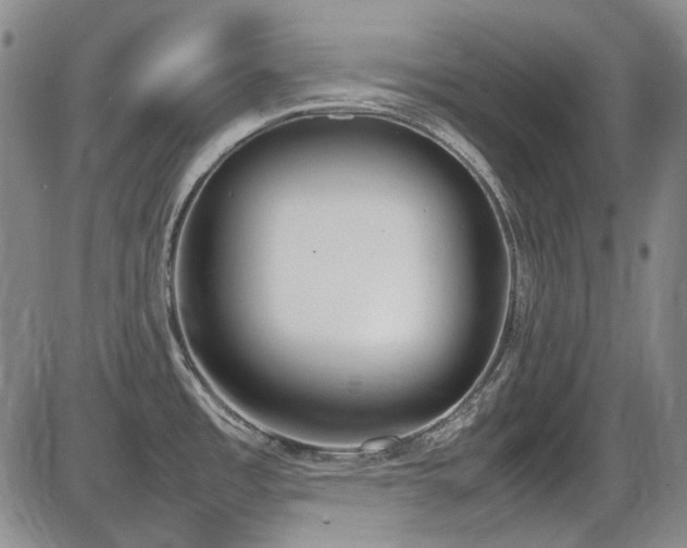 X0000086341485200703301243