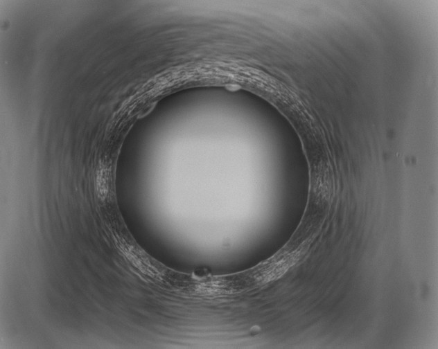 X0000086341490200703301242