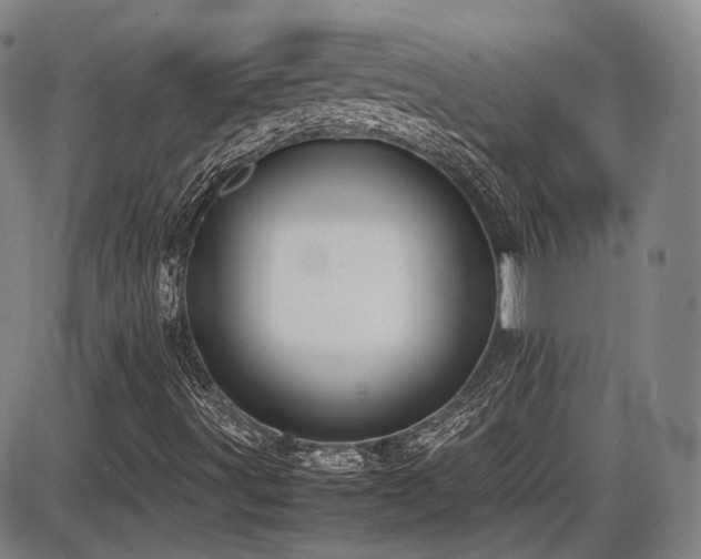 X0000086341491200703301242
