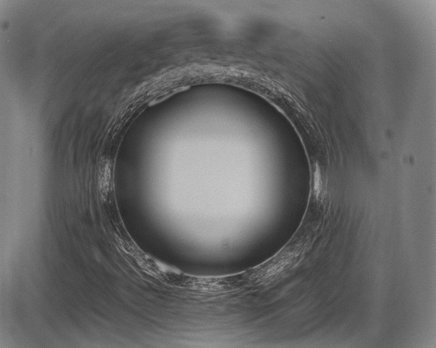 X0000086341492200703301242