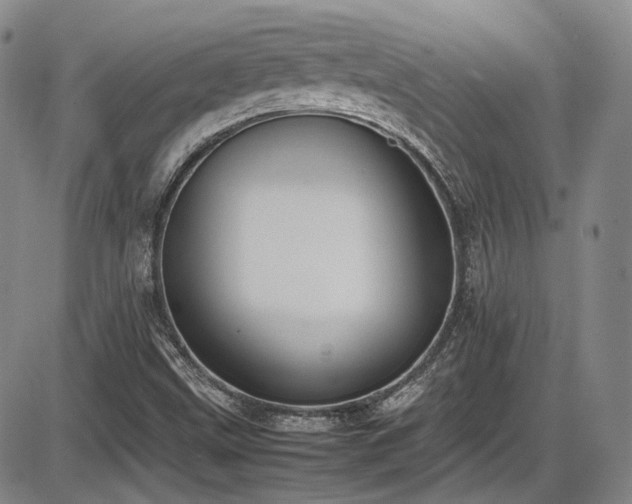 X0000086341499200703301242