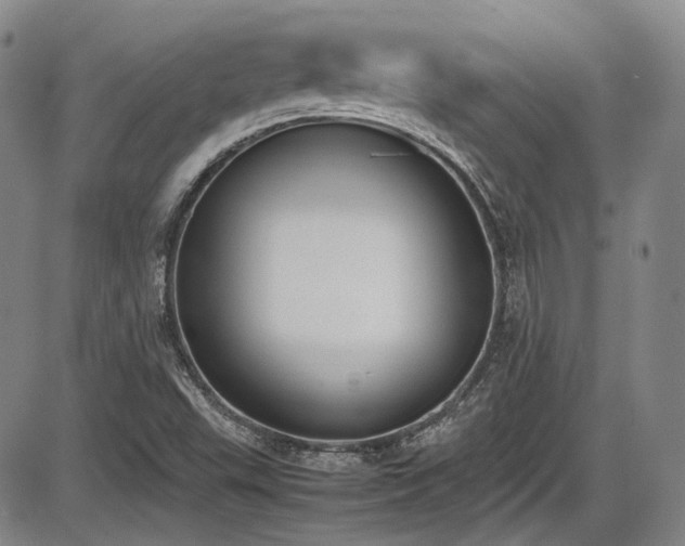 X0000086341503200703301242