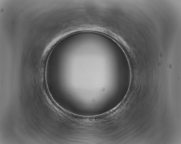 X0000086341504200703301242