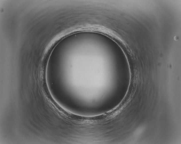 X0000086341506200703301242