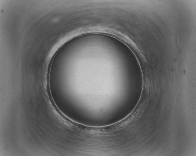 X0000086341512200703301242