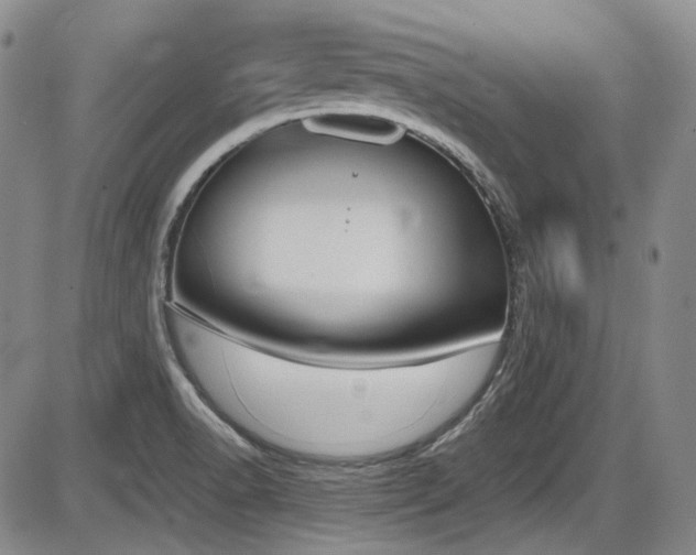 X0000086341518200703301242