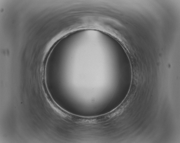 X0000086341519200703301242