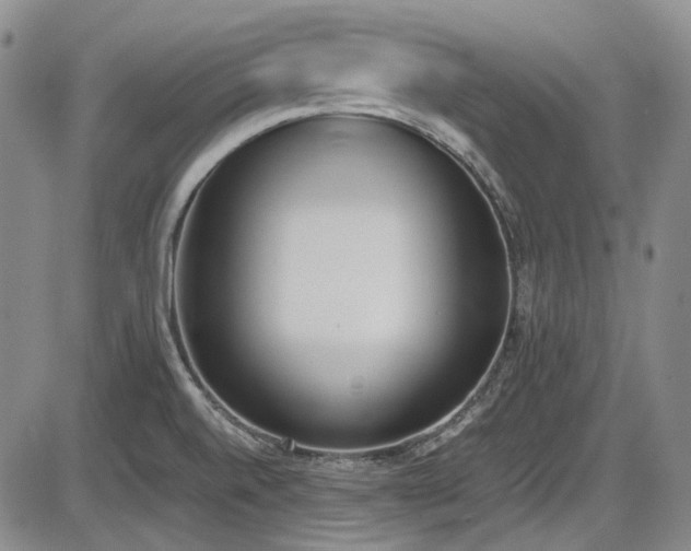 X0000086341520200703301242