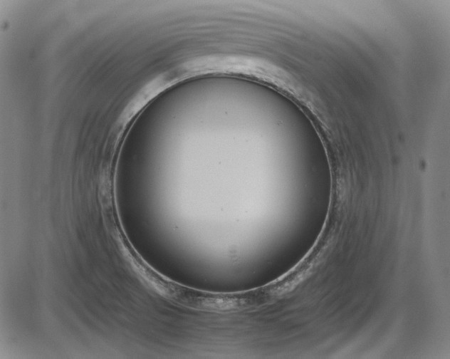 X0000086341521200703301242