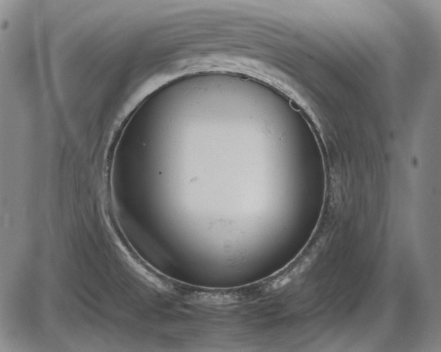 X0000086341525200703301242
