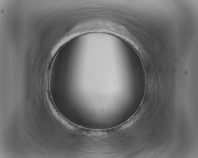 X0000086341526200703301242