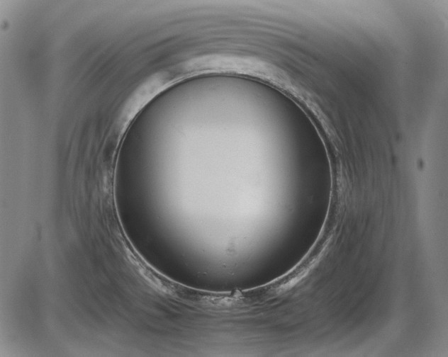 X0000086341529200703301242