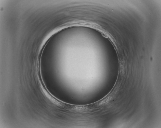 X0000086341531200703301243