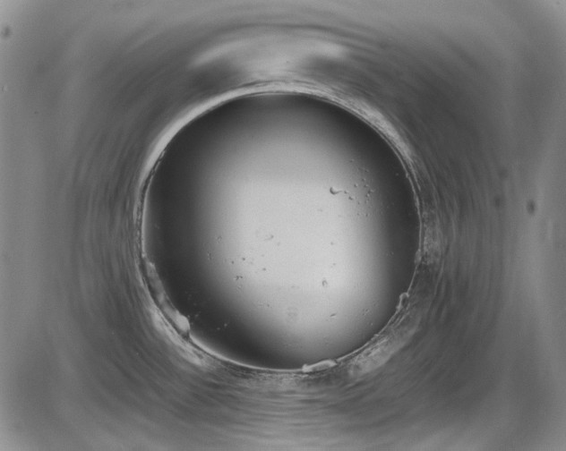 X0000086341532200703301243