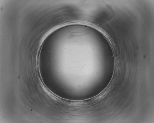 X0000086341535200703301243