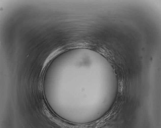 X0000086340004200704091216