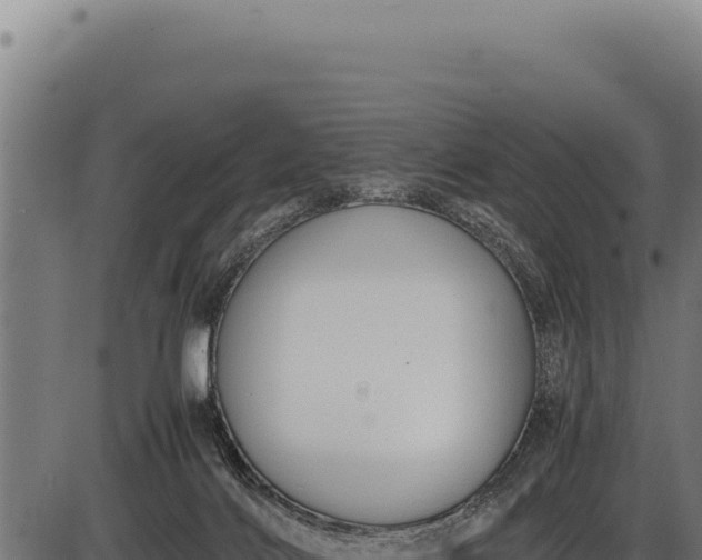 X0000086340028200704091215